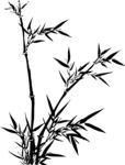 竹