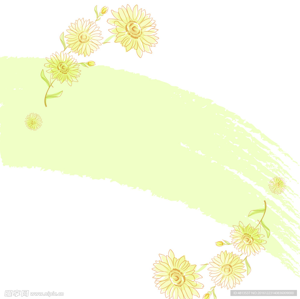 手绘雏菊花