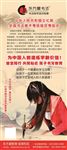 书法培训X展架