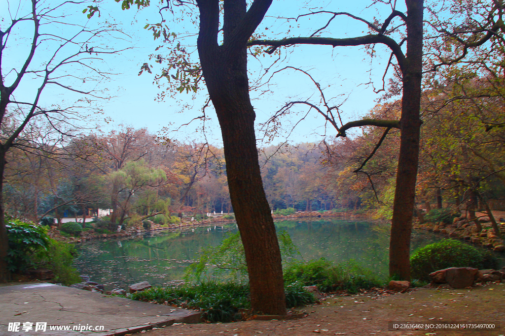 南京灵谷寺风景