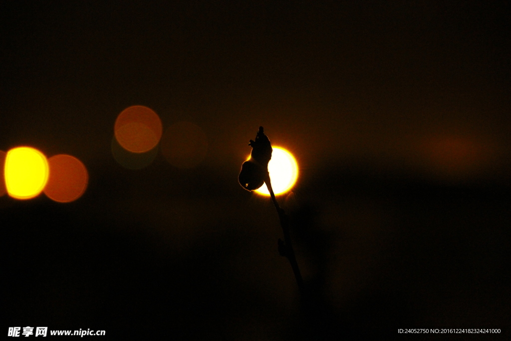 夕阳唯美意境星光落日