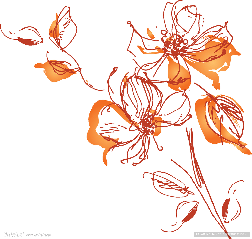 花纹图案