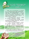 米粒行动光盘行动海报