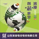电缆 地球 滨澳电线