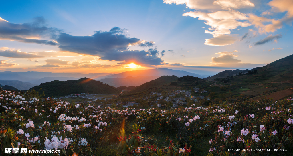 风景照