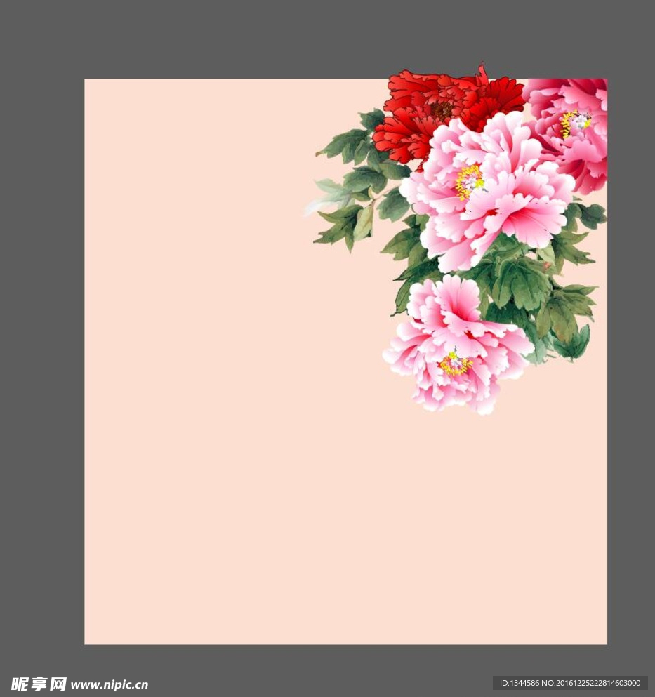 牡丹花