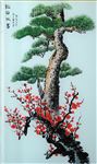 梅花松树高清摄影