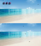 蓝天白云大海雁飞翔视频