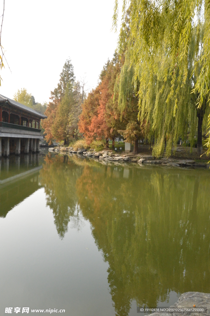 金秋中山公园