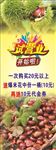 小栗王试营业开始啦易拉宝设计