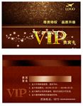 高档VIP卡
