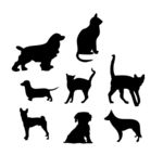 猫狗剪影