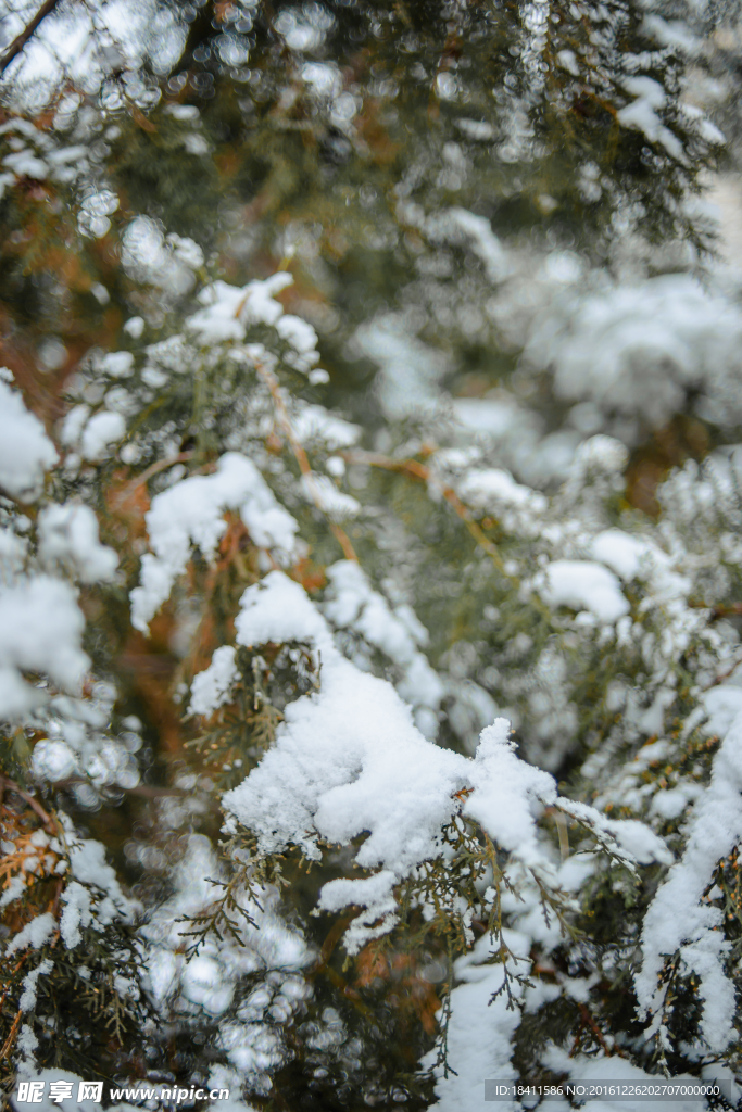 雪后初晴