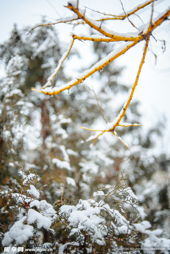 雪后初晴