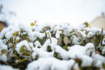 雪后初晴