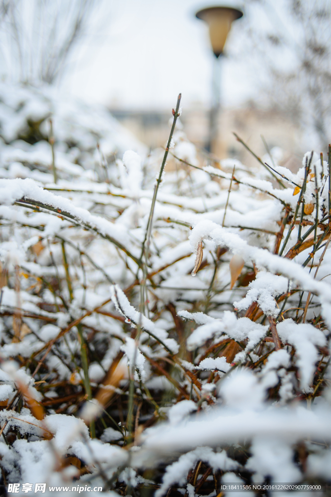 雪后初晴