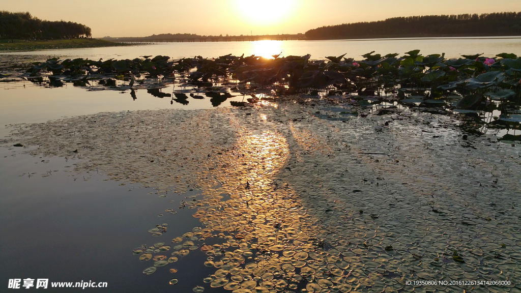 黄昏 湖面 阳光