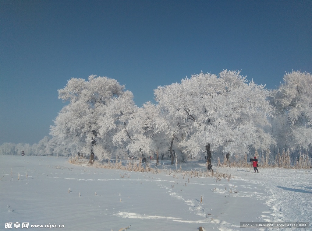 冰雪世界