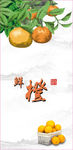 鲜橙彩贴