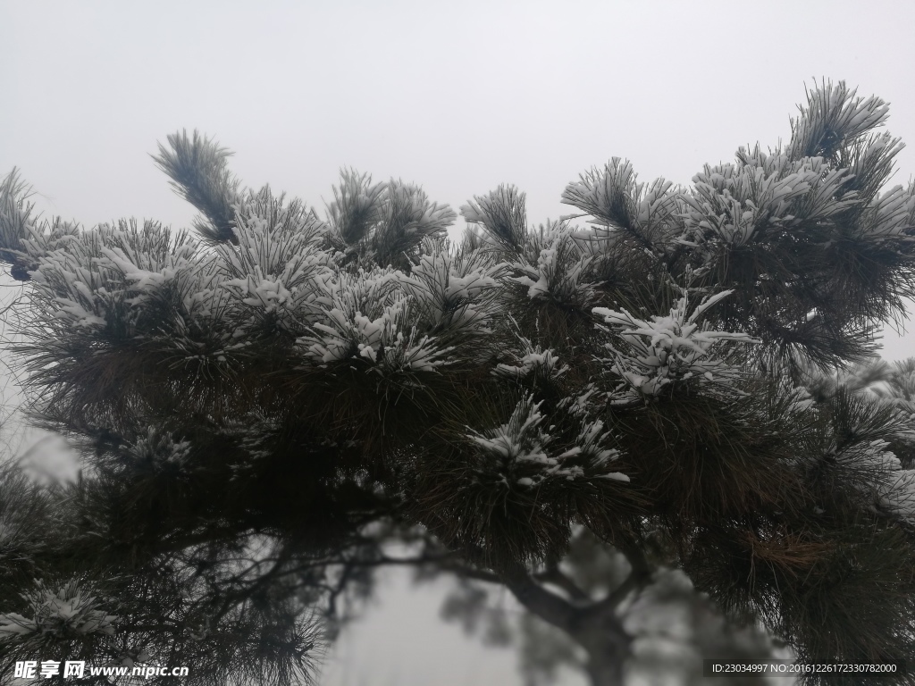 天津北宁公园雪景