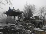 天津北宁公园雪景