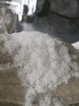 天津北宁公园雪景
