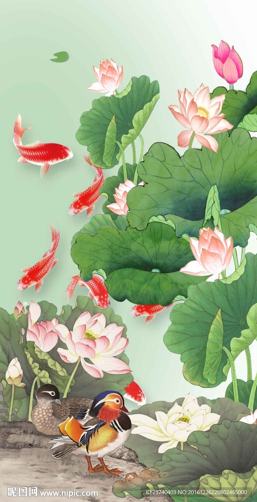 荷花鲤鱼图