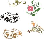 花朵花纹