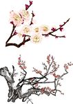 梅花