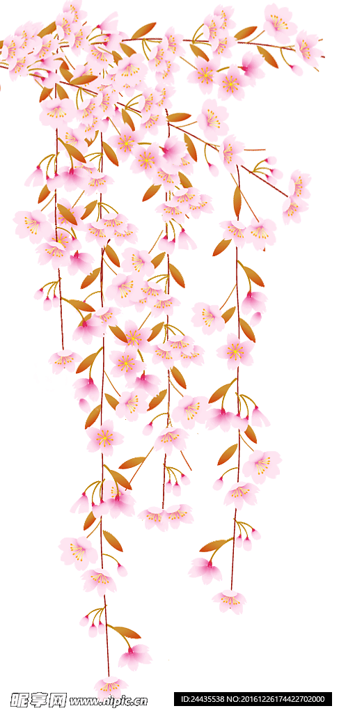 樱花日本樱花