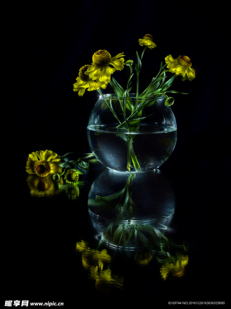 静物花