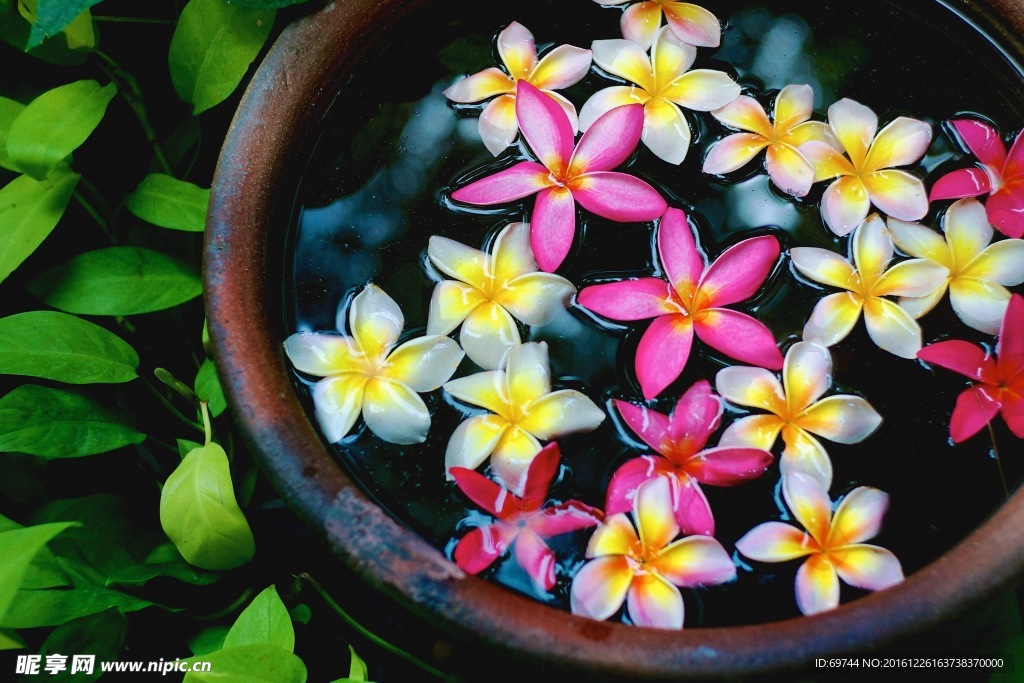 花