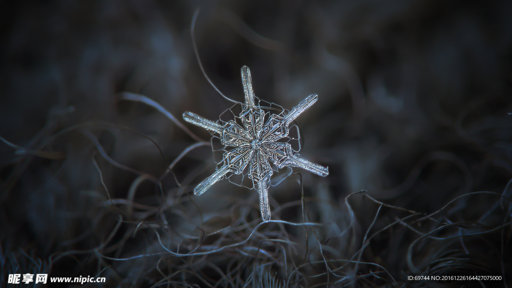 雪花