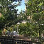 住宅庭院一角