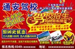 驾校招生海报
