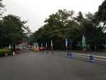 酒店门前的公路