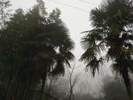 峨眉山
