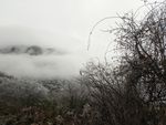 峨眉山的雾