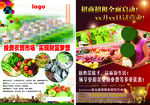 房地产 报纸广告 宣传 开盘