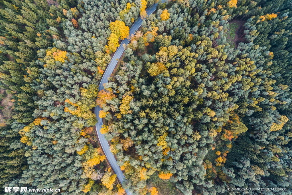 盘山公路