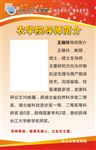 导师简介