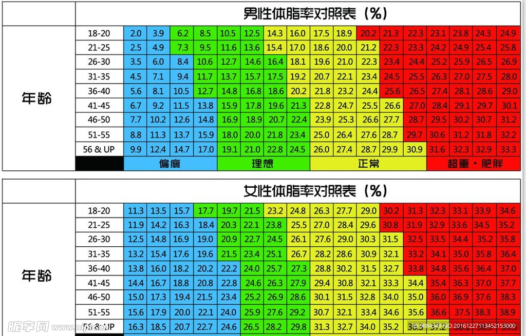 体脂率对照表