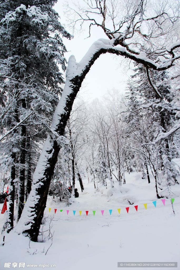 冰雪世界