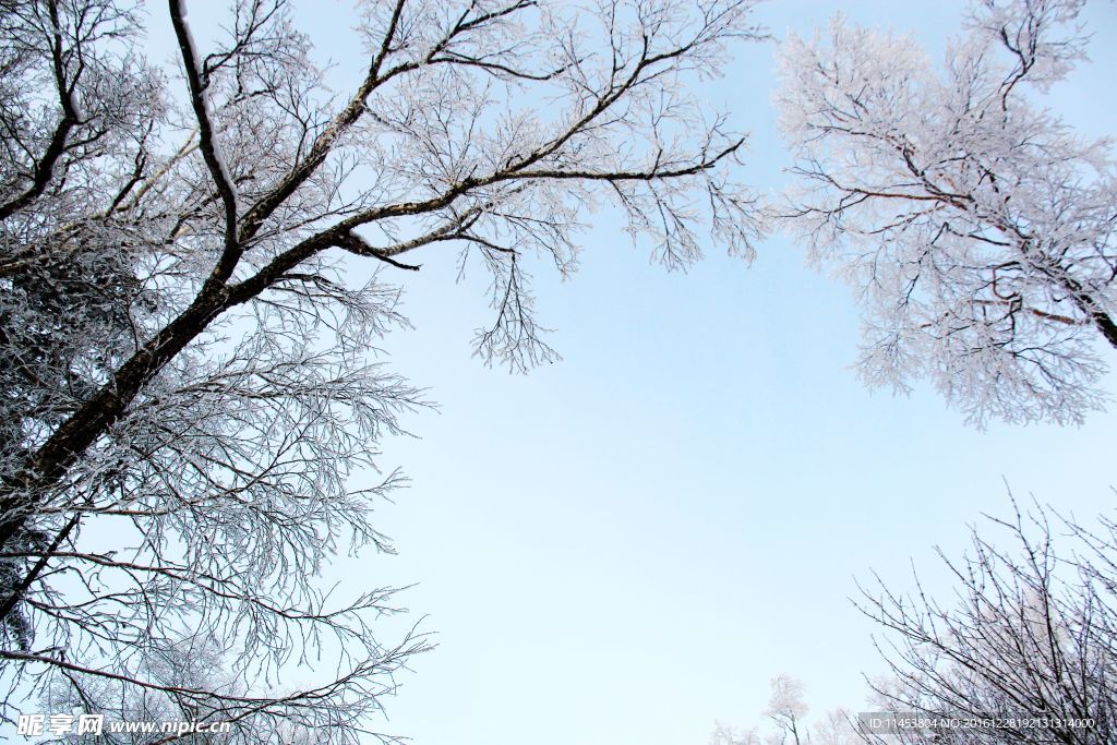 雪景