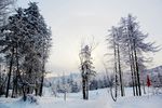 雪景
