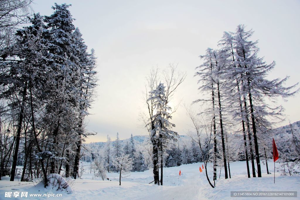 雪景