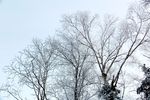 雪景