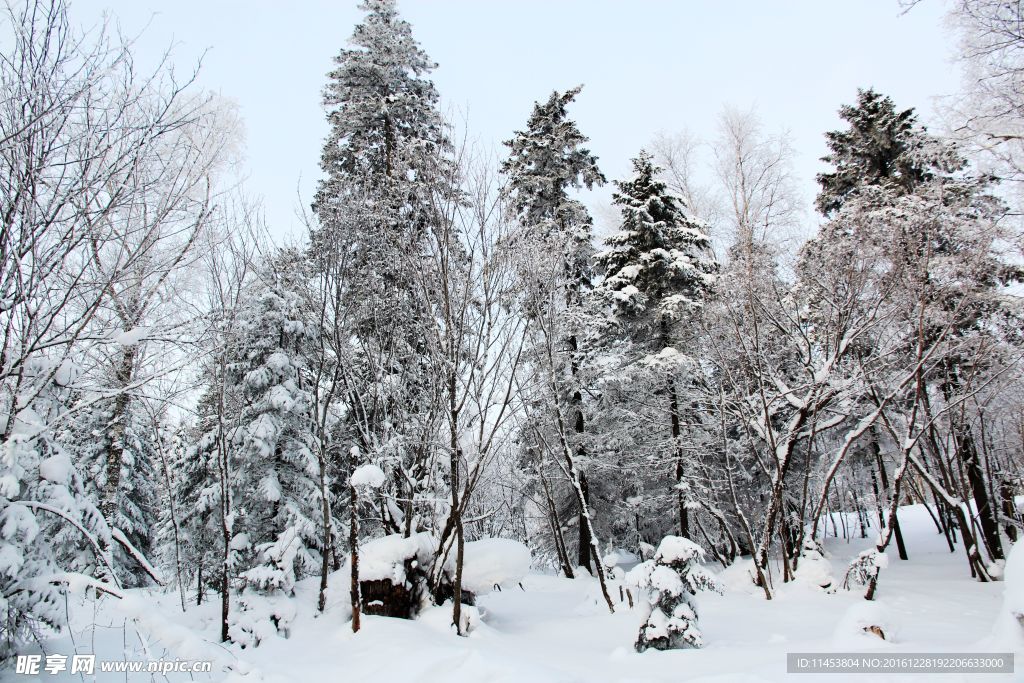 冰雪世界