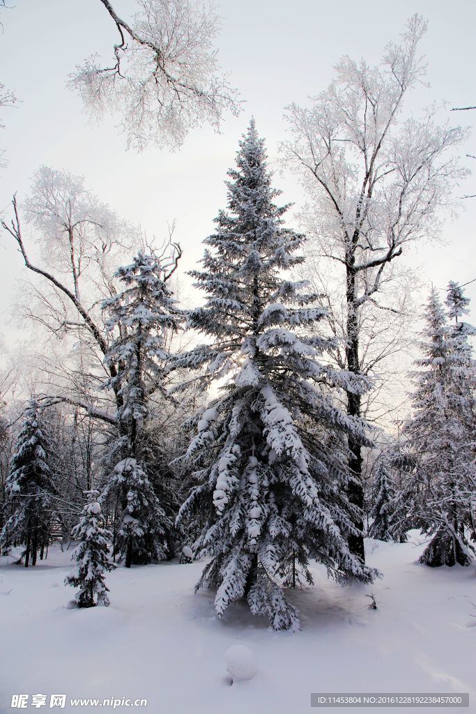 雪景