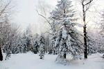 冰雪世界